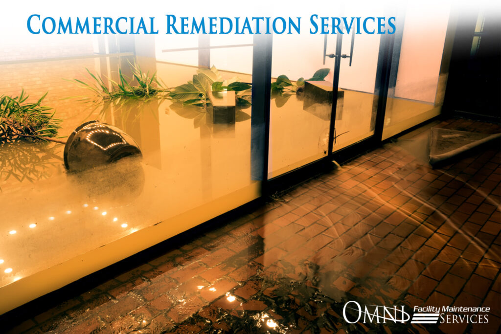 commercial remediation